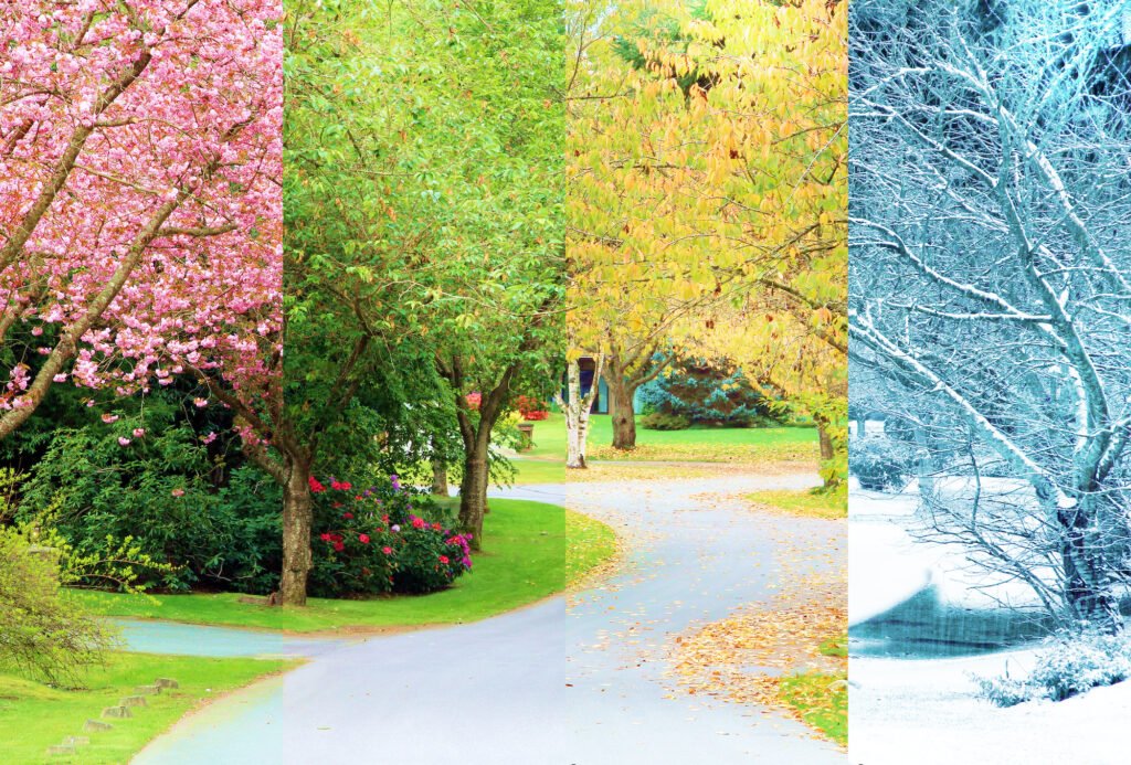 Seasons for painting